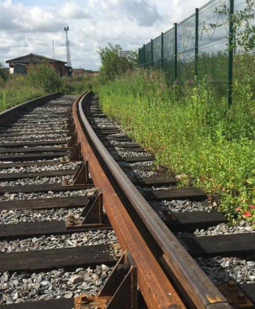 Темир жолду Бишкектин сыртына чыгаруунун 2 жолу айтылды