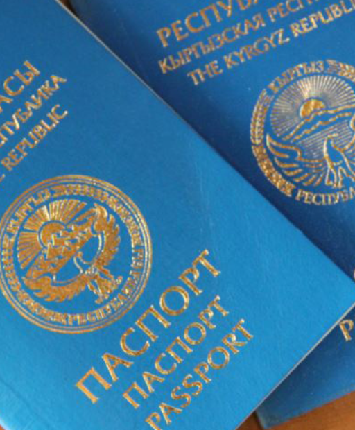 Жалпы жарандык паспорт